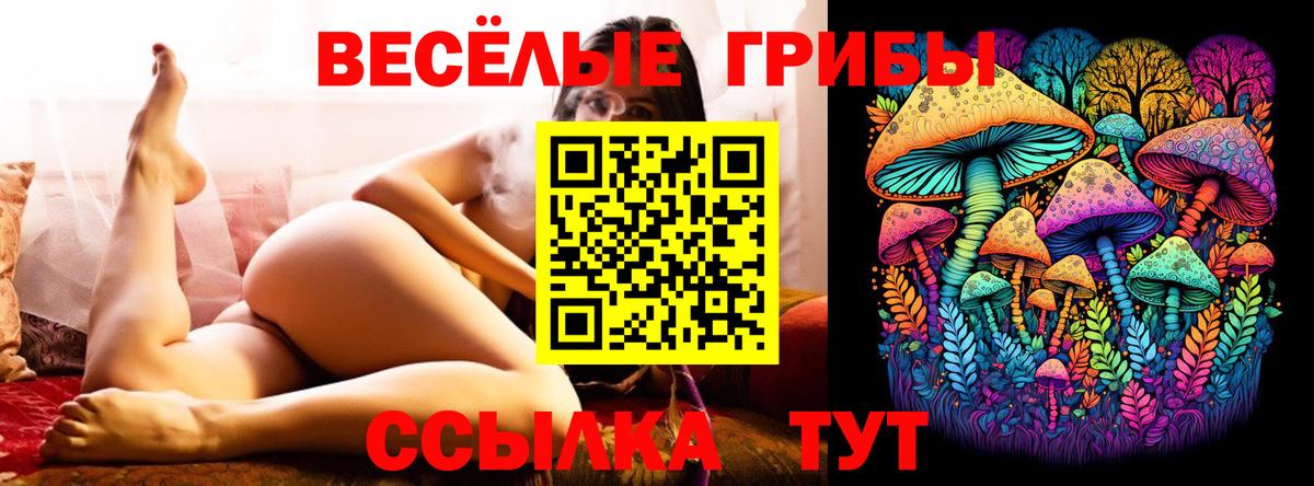 Галлюциногенные грибы MAGIC MUSHROOMS  Вход с VPN  Галлюциногенные грибы GOLDEN TEACHER  Калач-на-Дону 